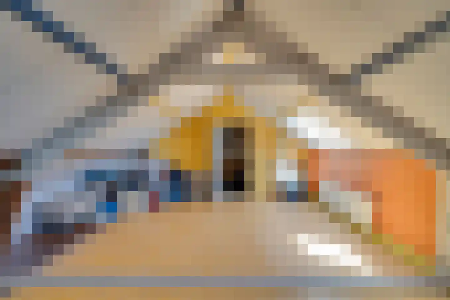 Groenstraat 26 Linne thumbnail 27