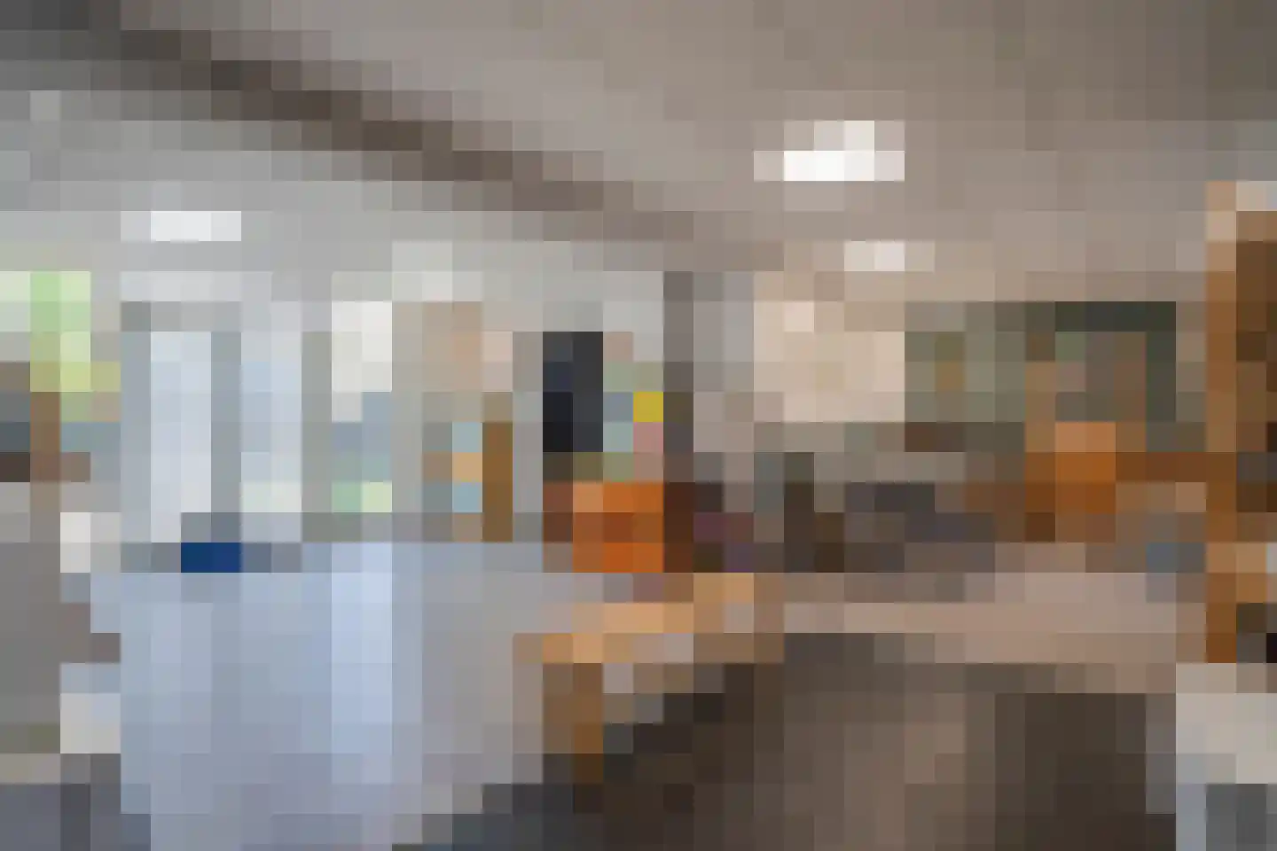 Groenstraat 26 Linne thumbnail 28