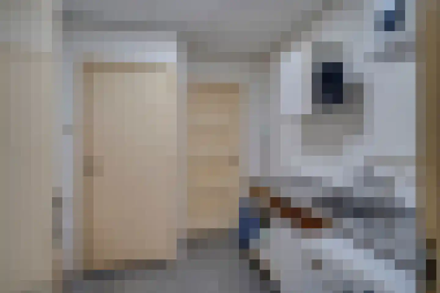 Groenstraat 26 Linne thumbnail 35