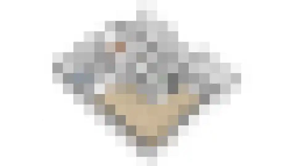 Groenstraat 26 Linne thumbnail 47
