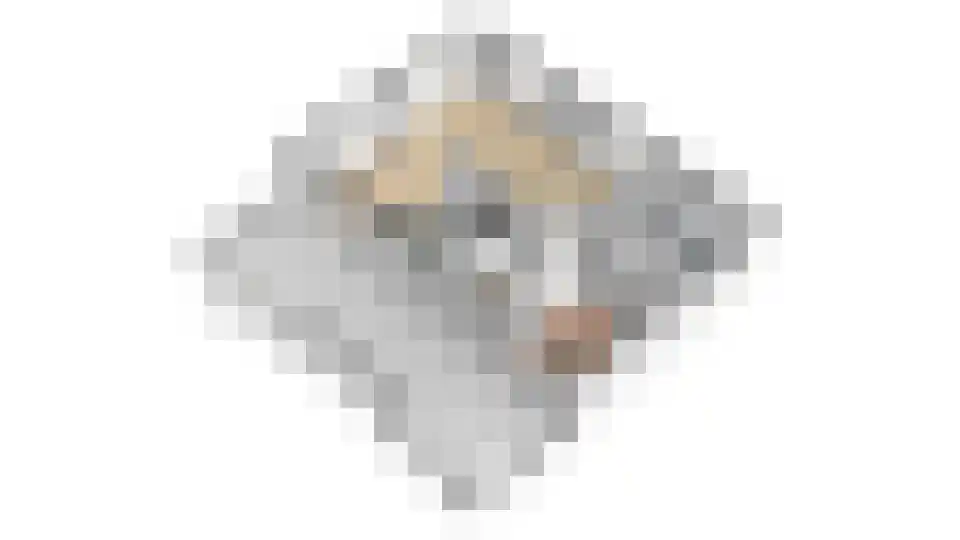 Groenstraat 26 Linne thumbnail 48