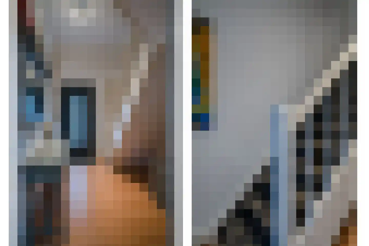 Groenstraat 26 Linne thumbnail 6