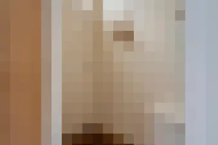 Groenstraat 28 Prinsenbeek thumbnail 5