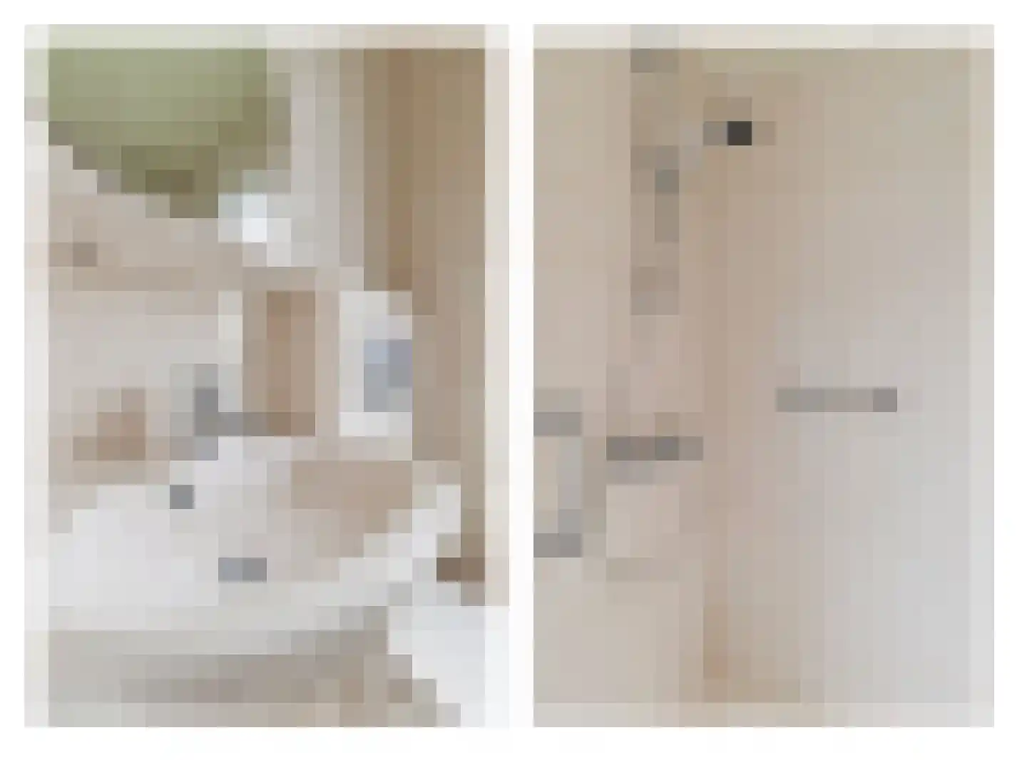 Groenstraat 3 Born thumbnail 16