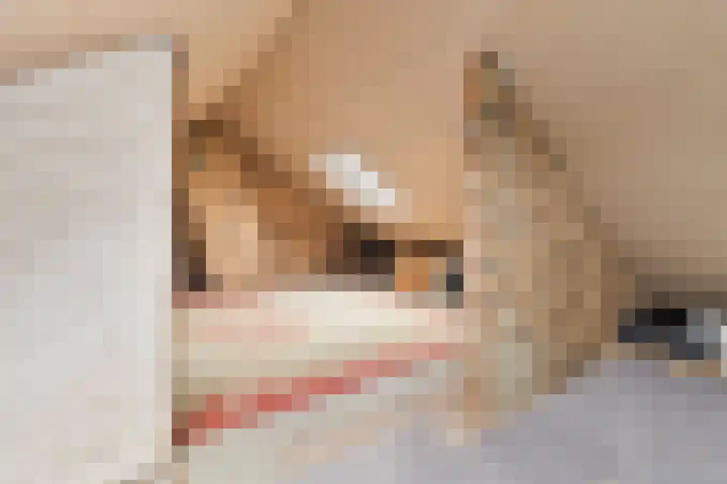 Groenstraat 3 Born thumbnail 18