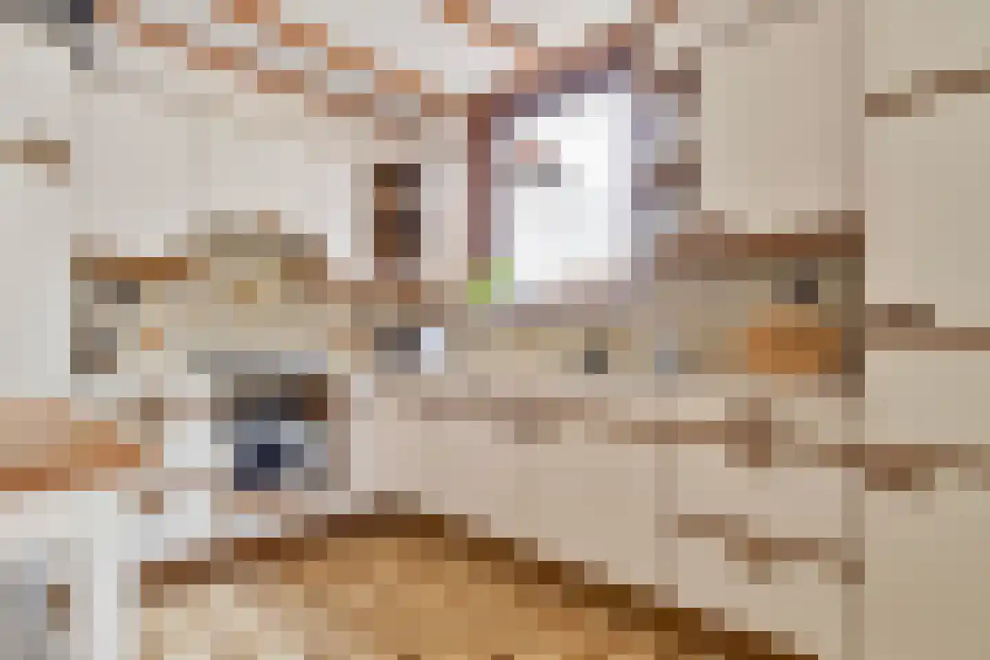 Groenstraat 3 Born thumbnail 5