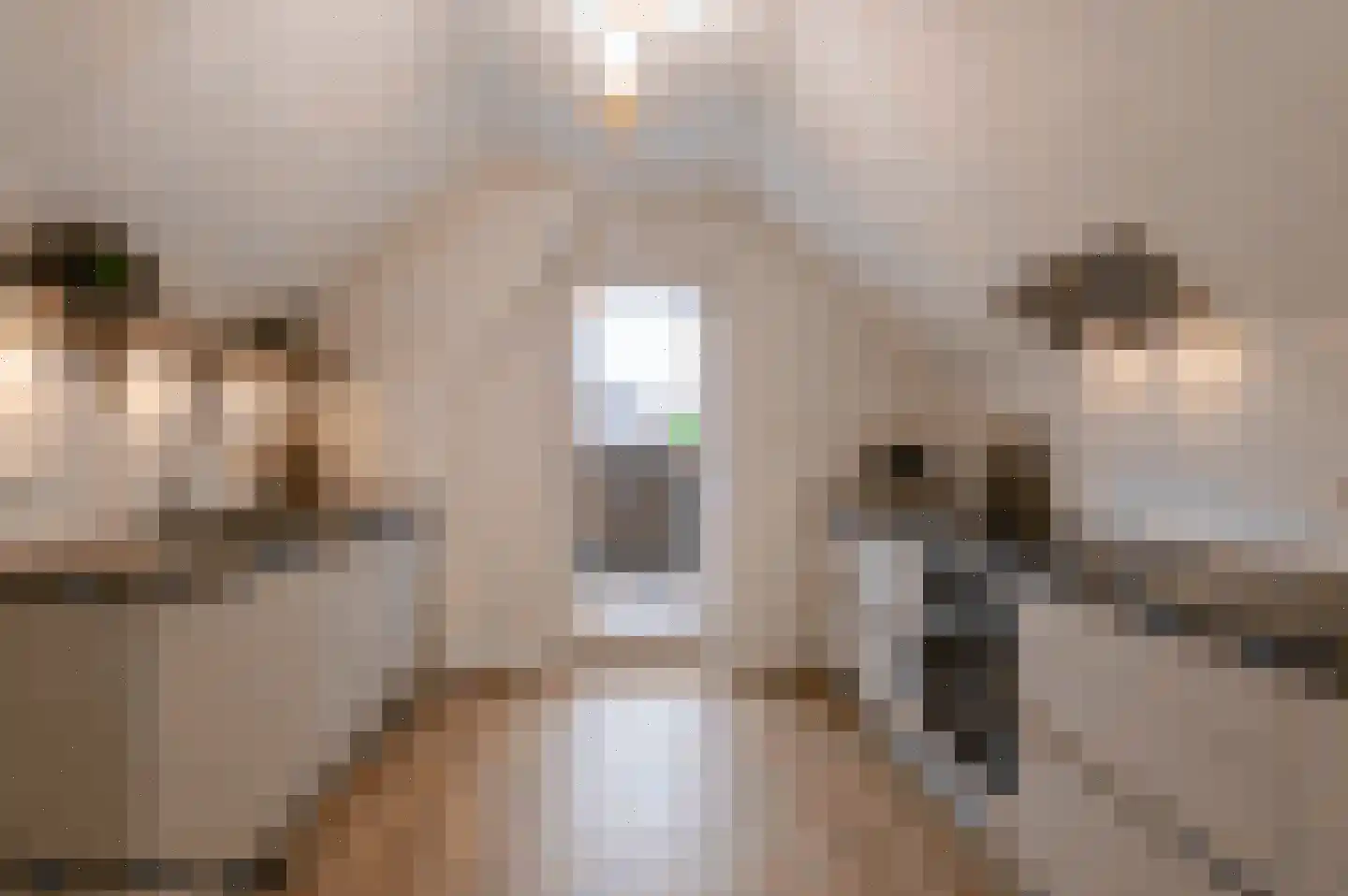 Groenstraat 3 Geleen thumbnail 12
