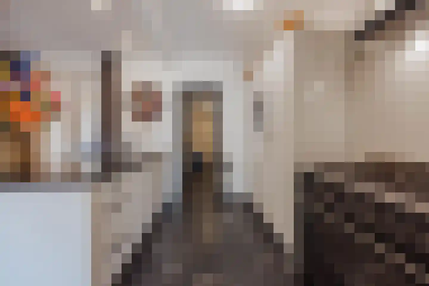 Groenstraat 31 Raamsdonksveer thumbnail 28