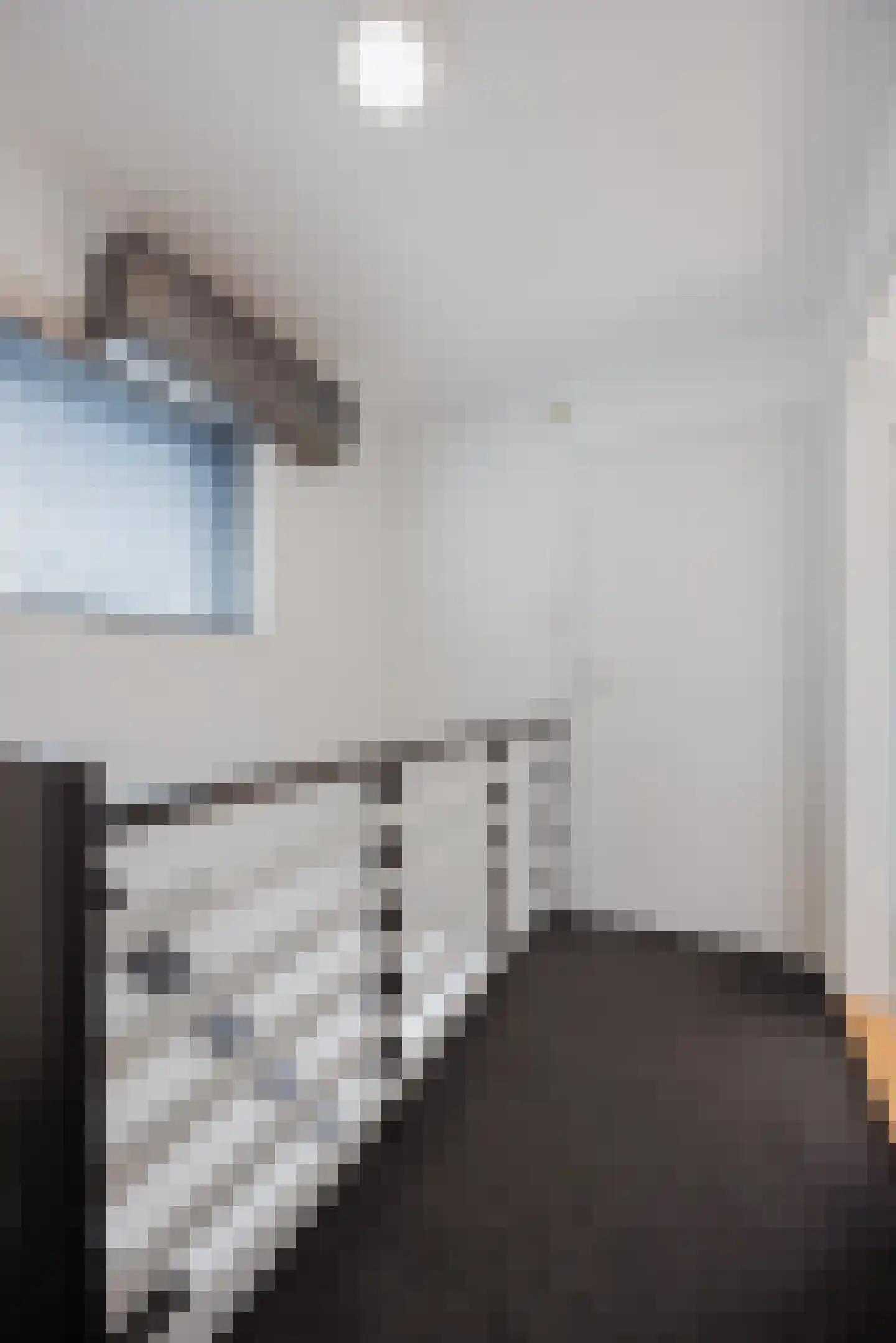 Groenstraat 31 Raamsdonksveer thumbnail 35