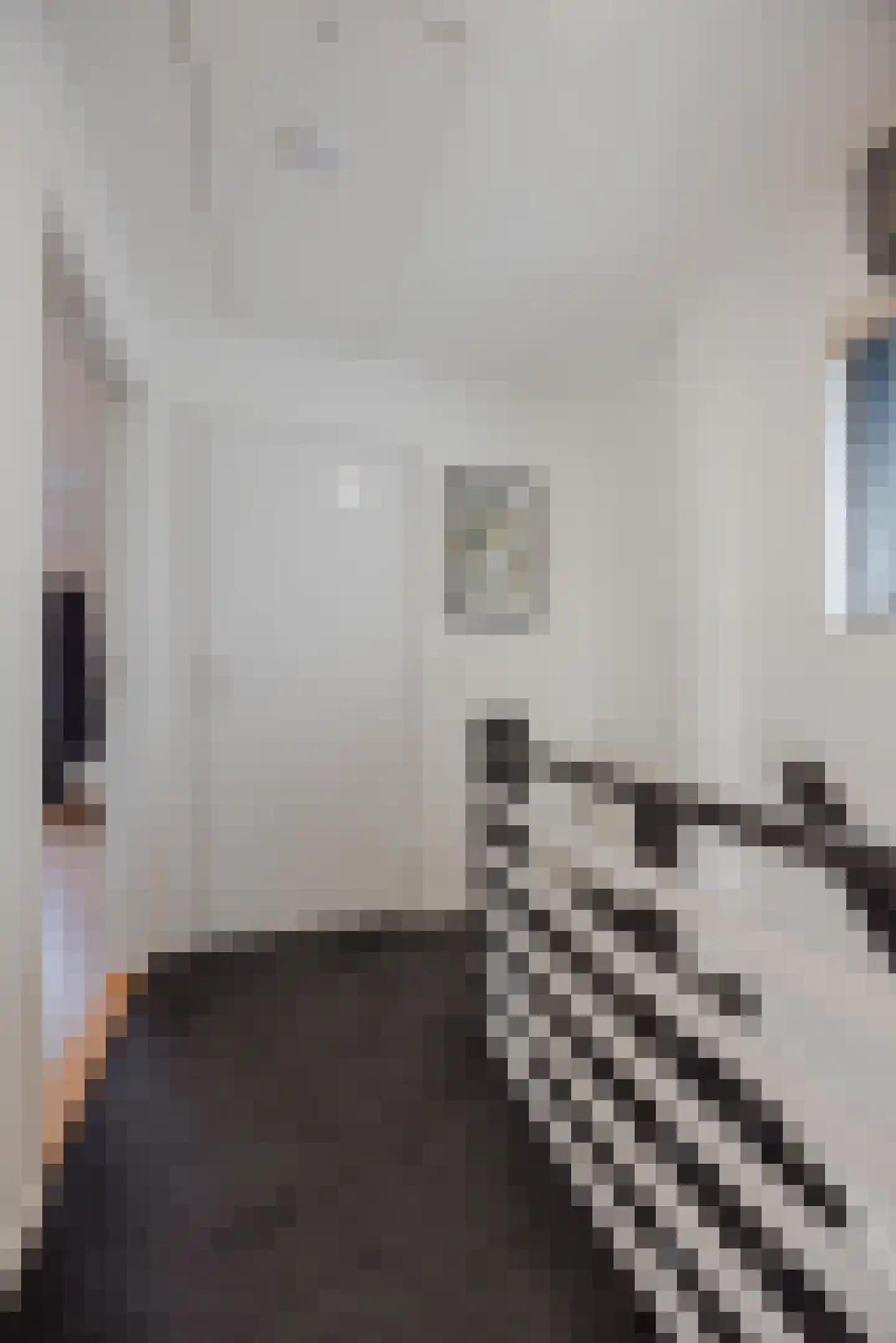 Groenstraat 31 Raamsdonksveer thumbnail 36