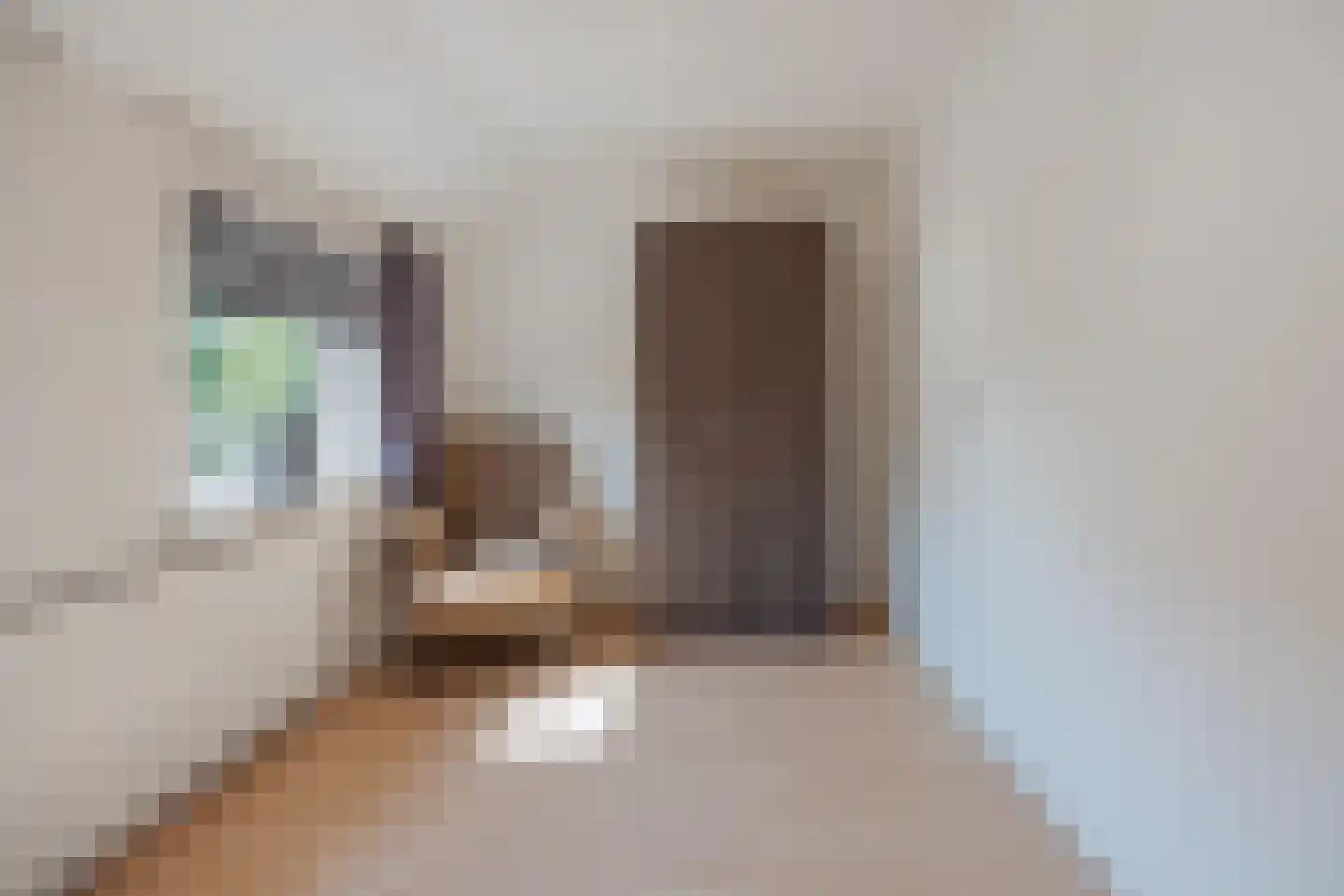 Groenstraat 31 Raamsdonksveer thumbnail 42