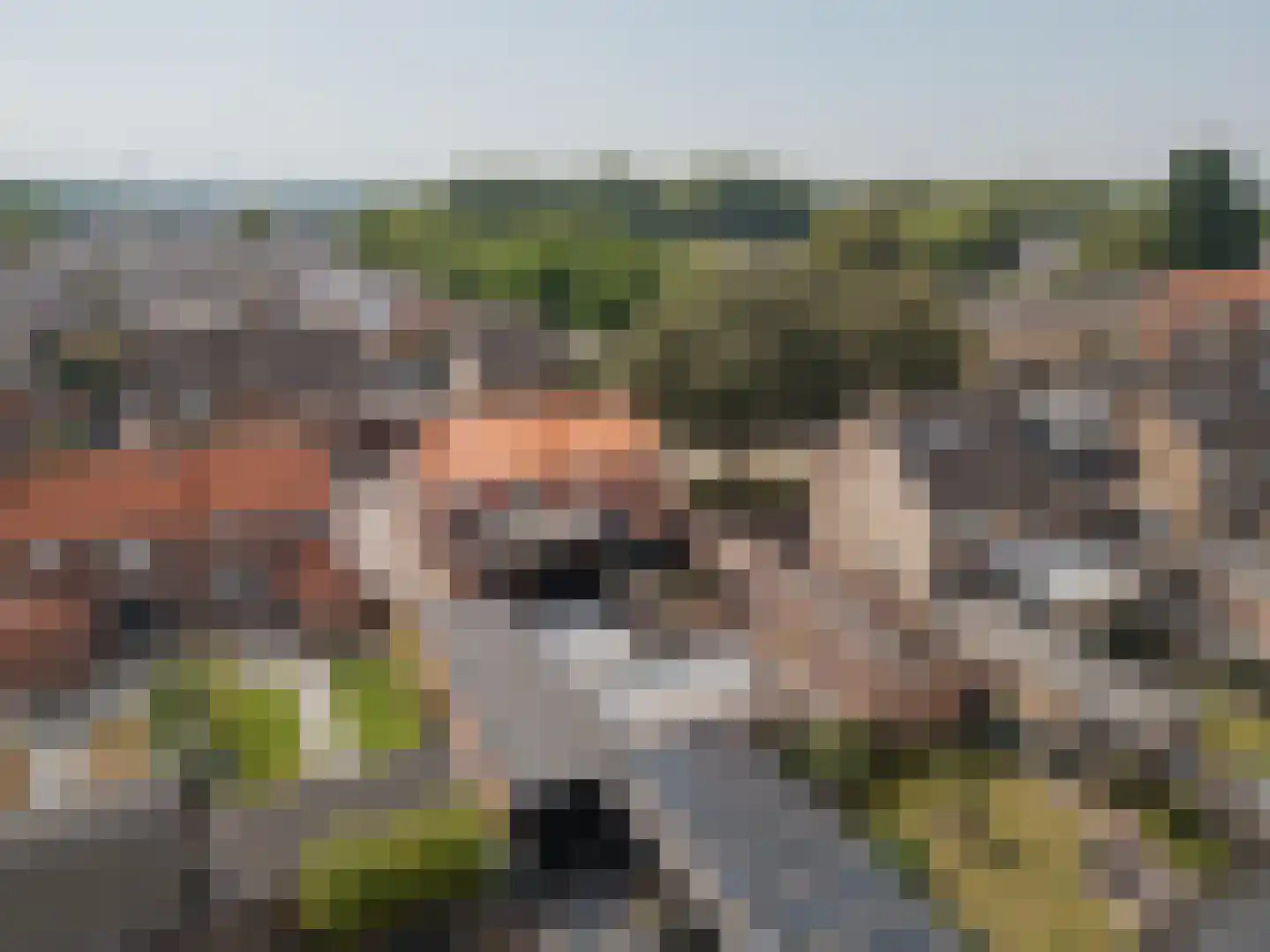 Groenstraat 31 Raamsdonksveer thumbnail 47