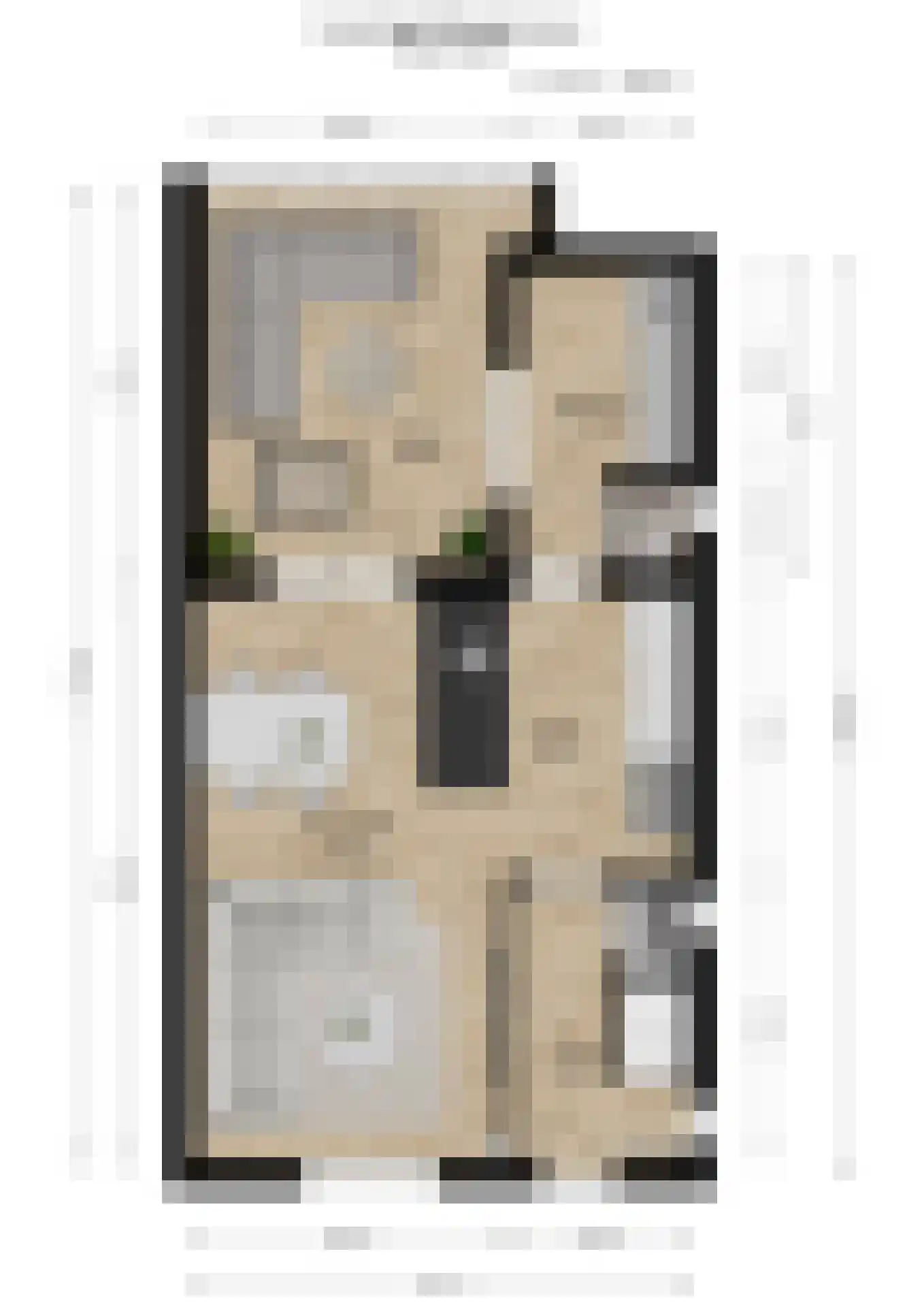 Groenstraat 31 Raamsdonksveer thumbnail 48