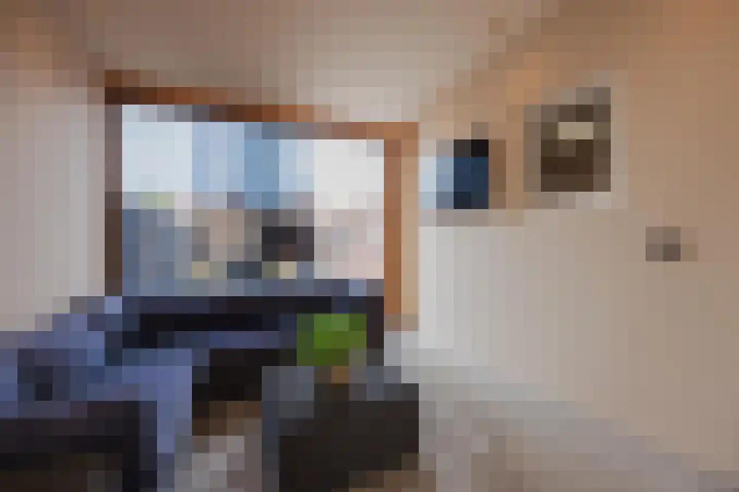 Groenstraat 31 Raamsdonksveer thumbnail 6