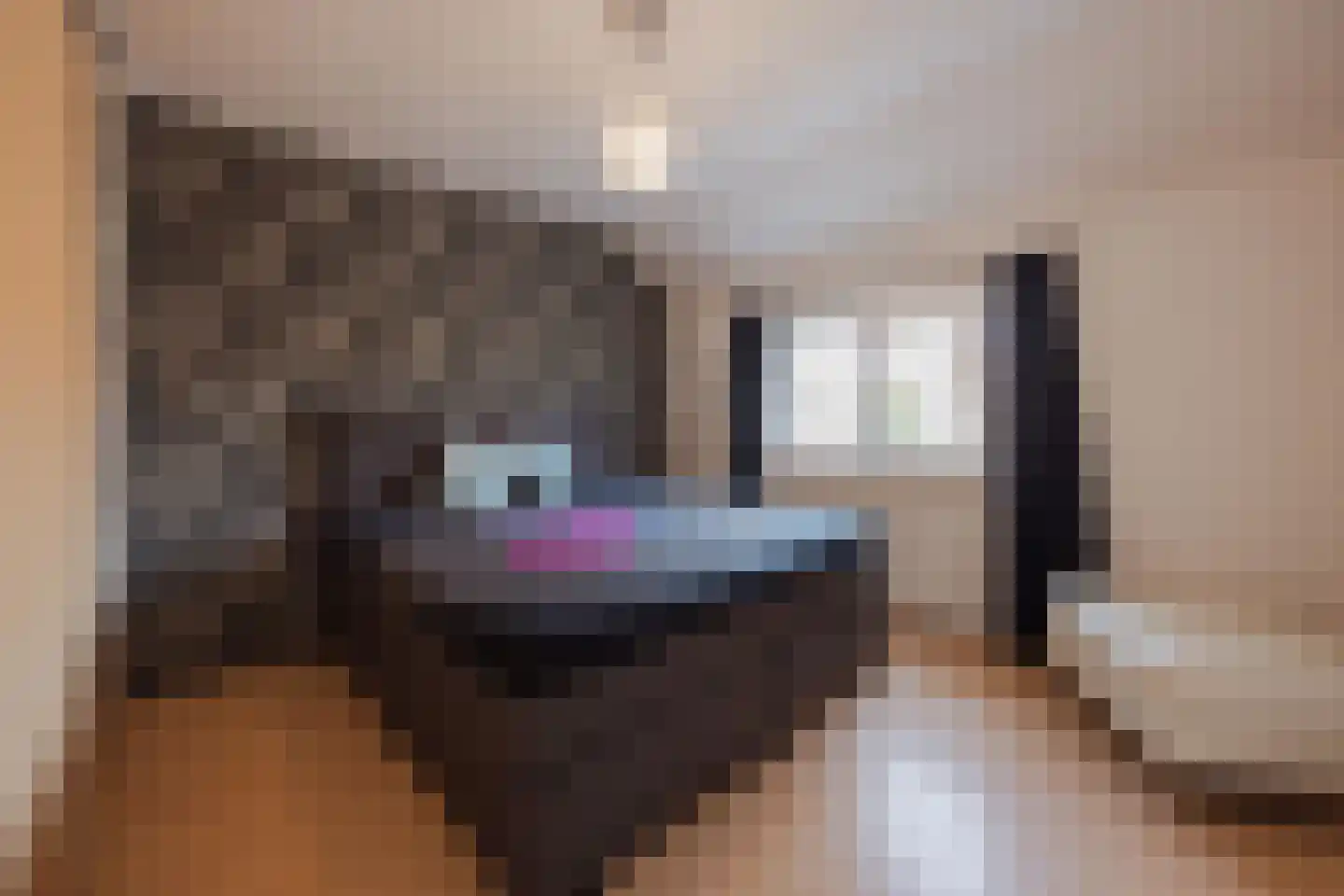 Groenstraat 31 Raamsdonksveer thumbnail 7