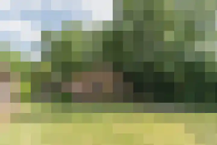 Groenstraat 32 Esbeek thumbnail 56