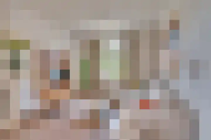 Groenstraat 35 Venlo thumbnail 10