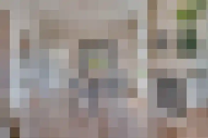 Groenstraat 35 Venlo thumbnail 12
