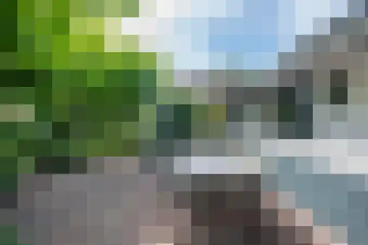Groenstraat 35 Venlo thumbnail 27