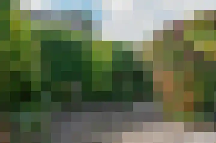 Groenstraat 35 Venlo thumbnail 28
