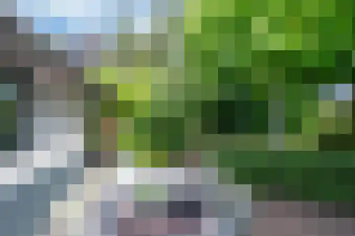 Groenstraat 35 Venlo thumbnail 30