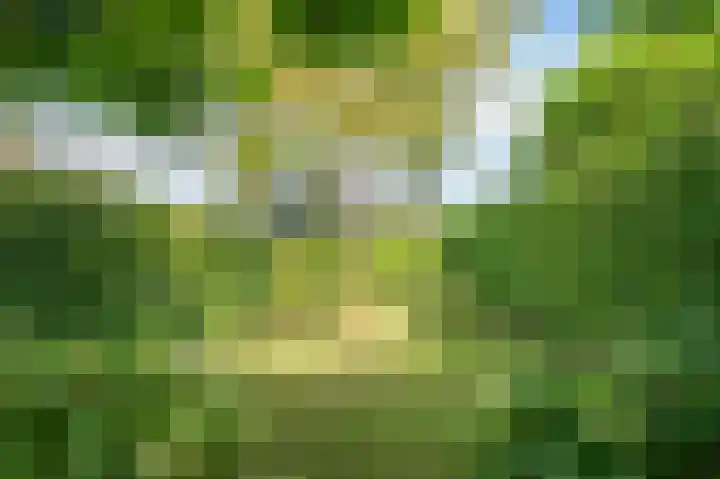 Groenstraat 35 Venlo thumbnail 37