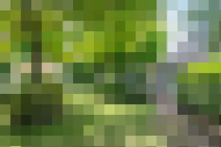 Groenstraat 35 Venlo thumbnail 42