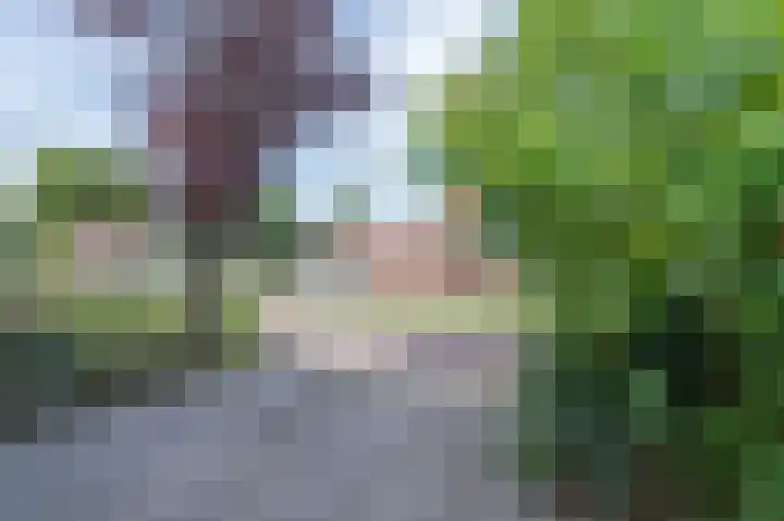 Groenstraat 35 Venlo thumbnail 46