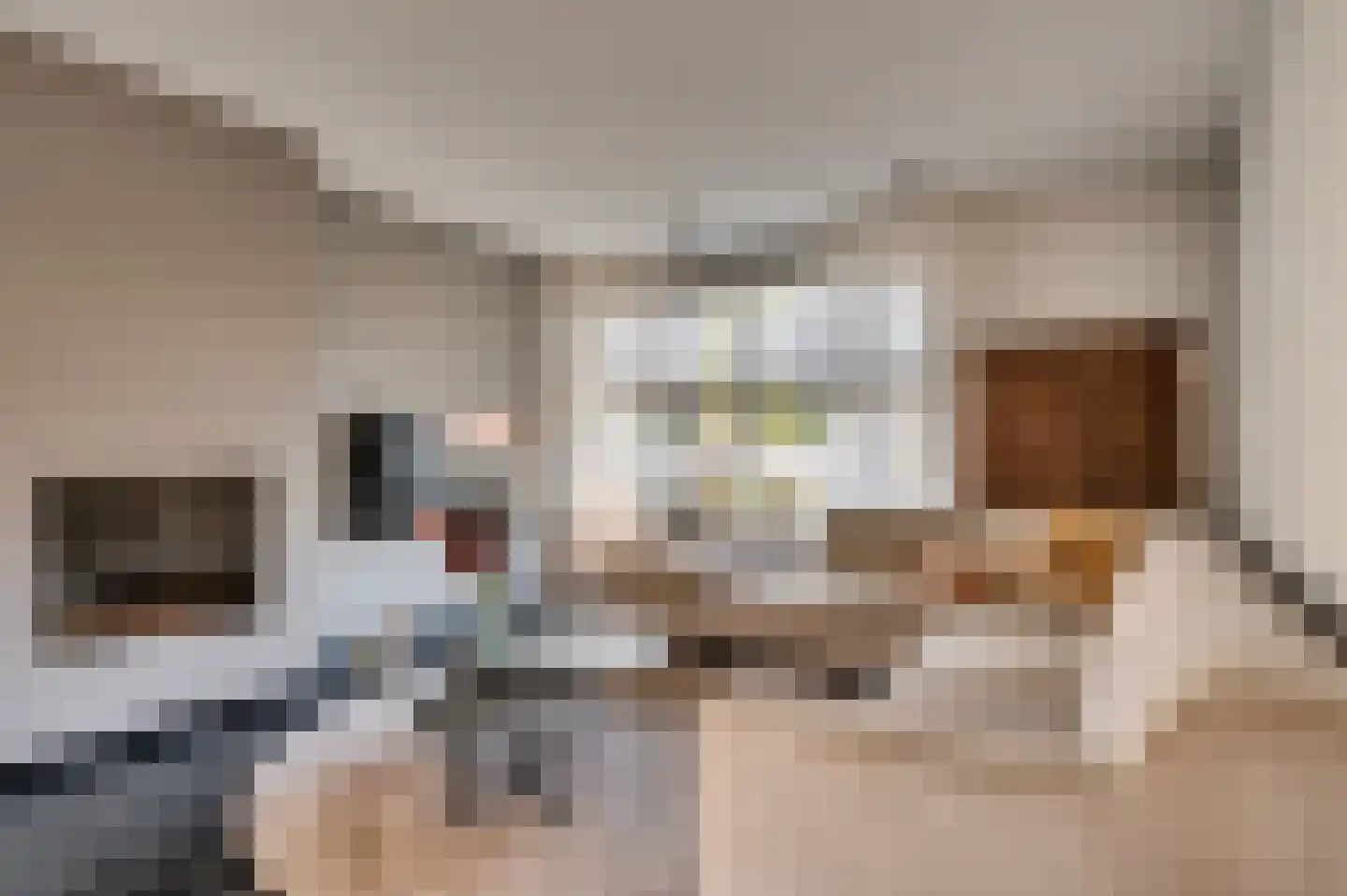 Groenstraat 37 Venlo thumbnail 12