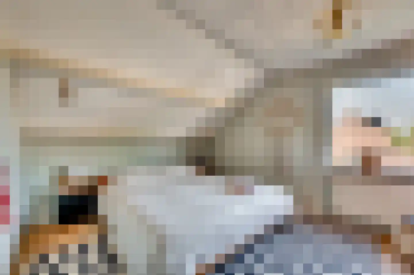 Groenstraat 37 Venlo thumbnail 30
