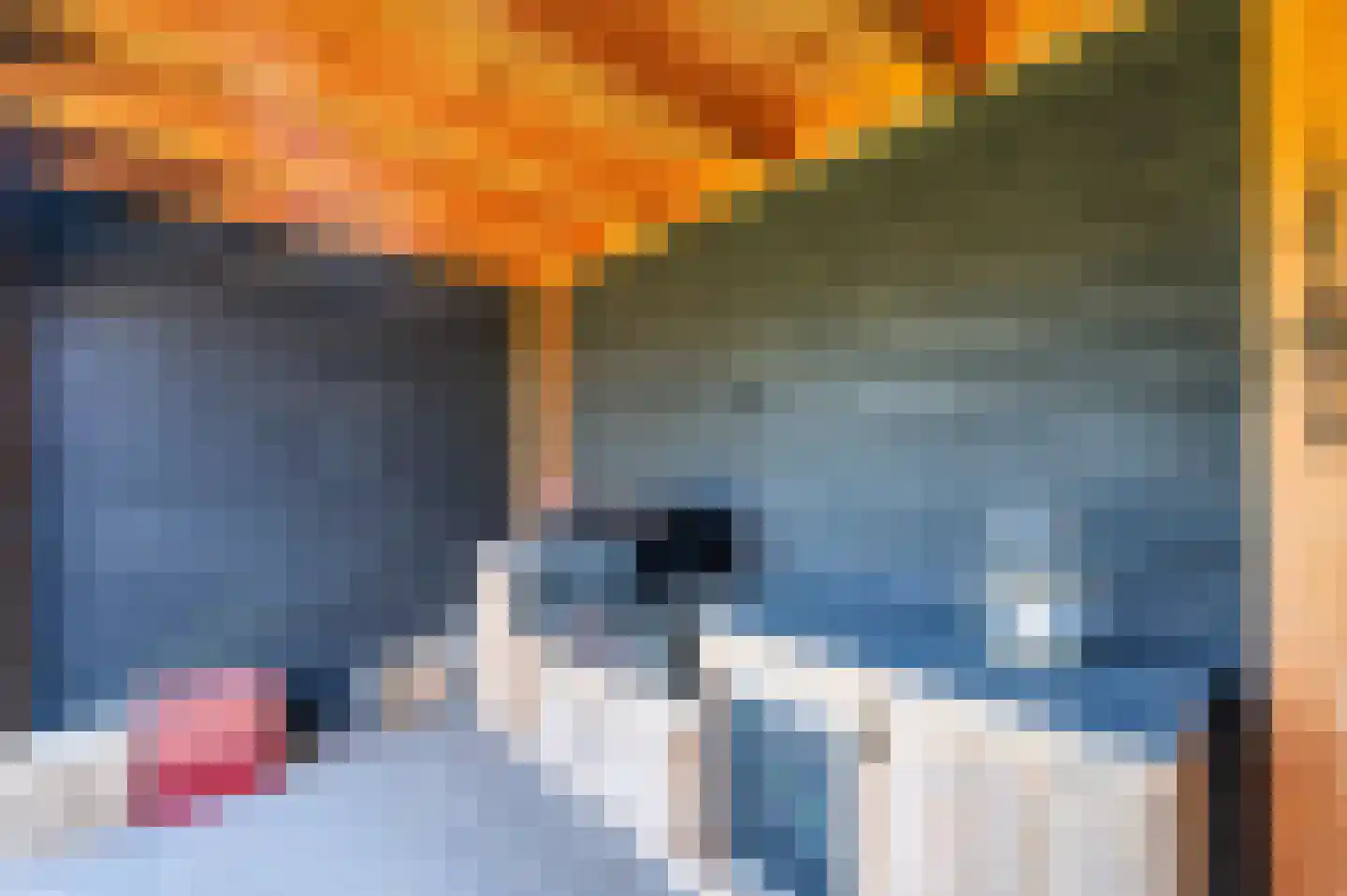 Groenstraat 37 Venlo thumbnail 53