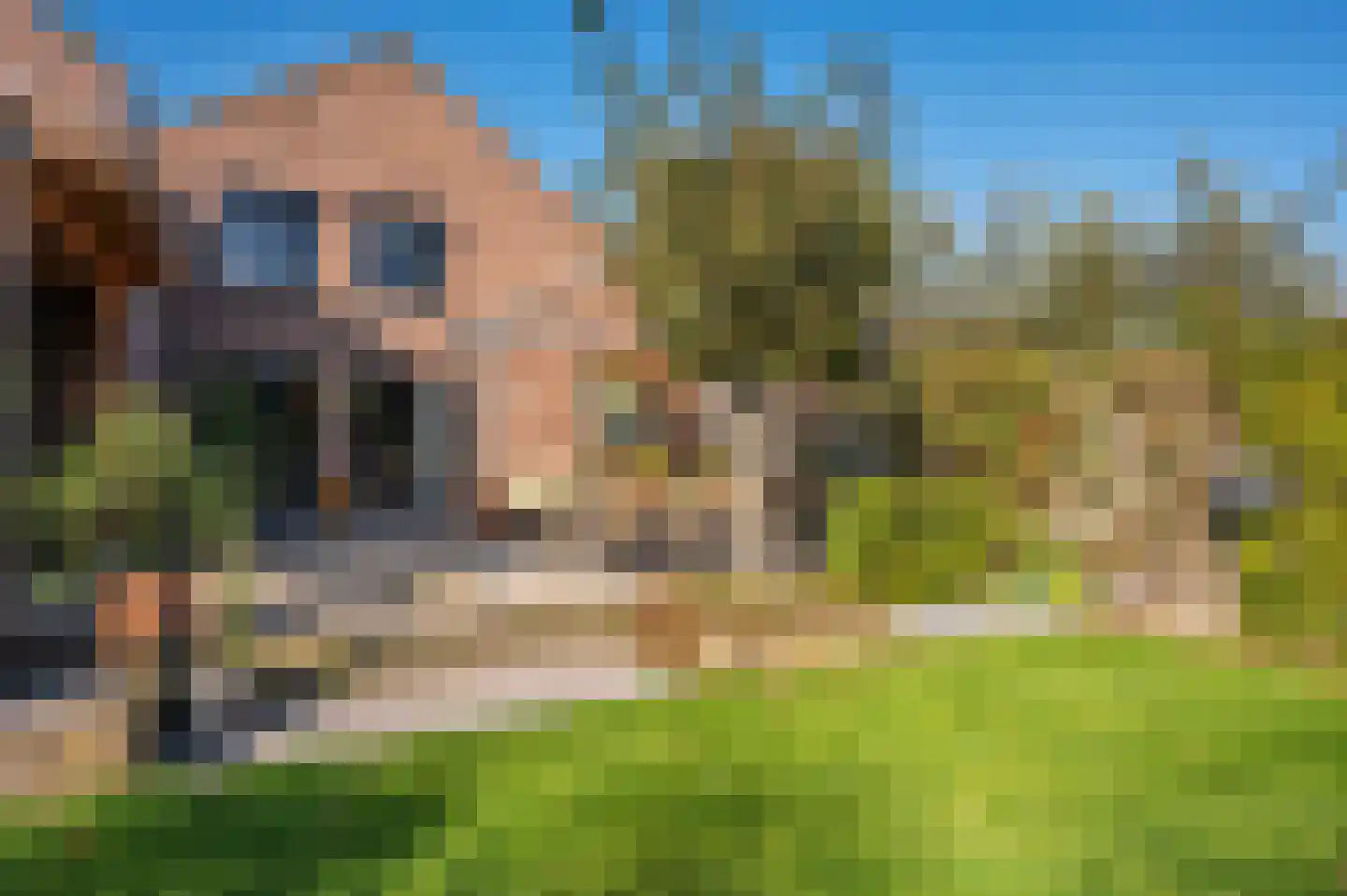Groenstraat 37 Venlo thumbnail 65