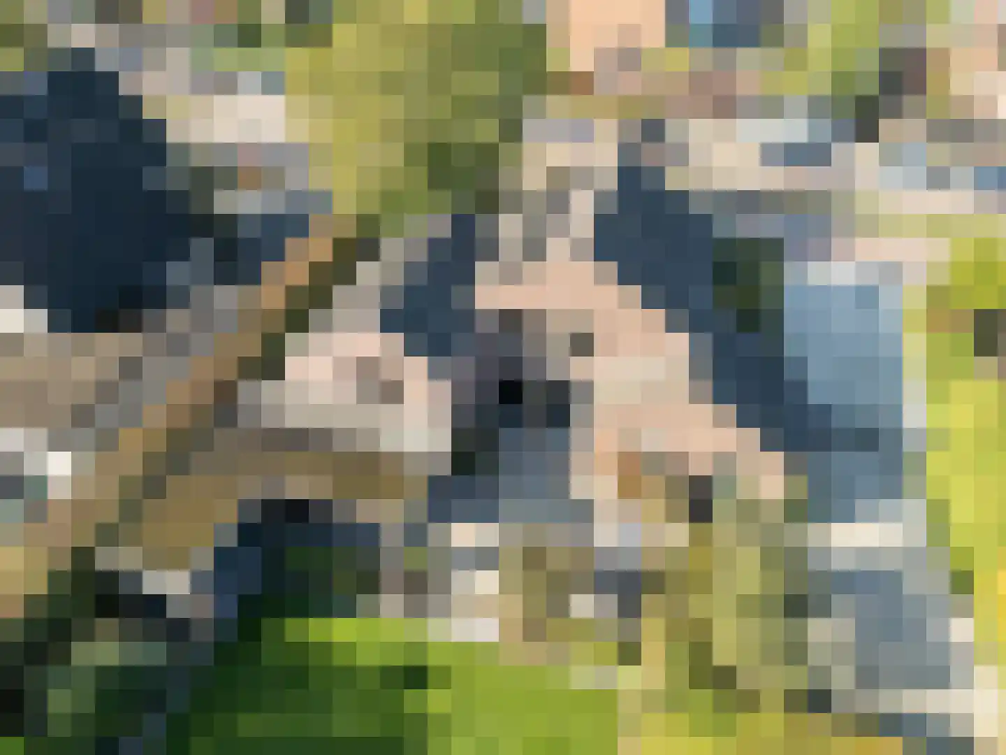Groenstraat 37 Venlo thumbnail 85