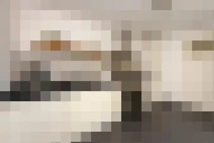 Groenstraat 40 Tilburg thumbnail 15