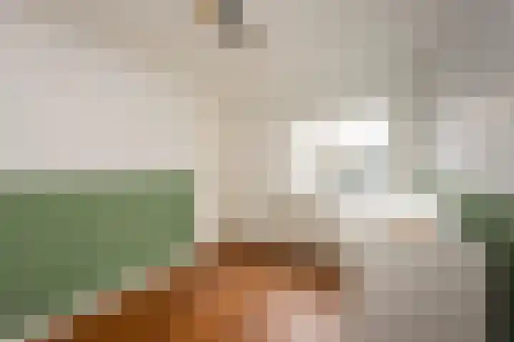 Groenstraat 40 Tilburg thumbnail 28