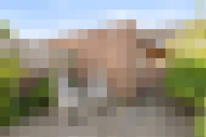 Groenstraat 43 Roosendaal thumbnail 24
