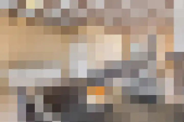 Groenstraat 43 Roosendaal thumbnail 7