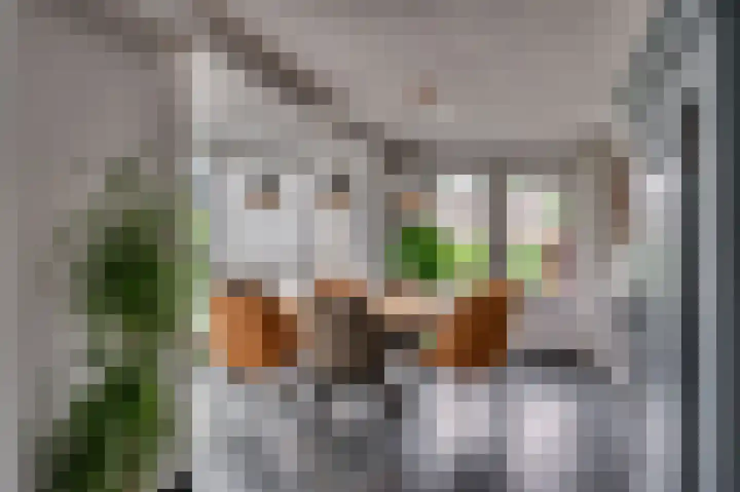 Groenstraat 43 Venlo thumbnail 20