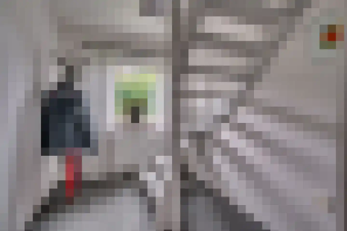 Groenstraat 43 Venlo thumbnail 32