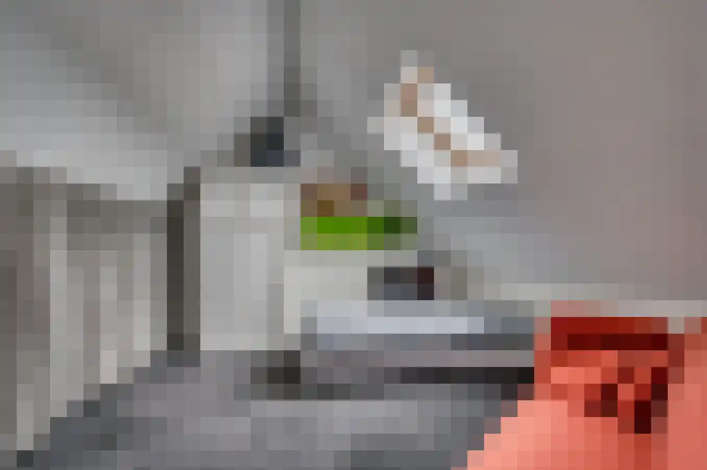 Groenstraat 43 Venlo thumbnail 36