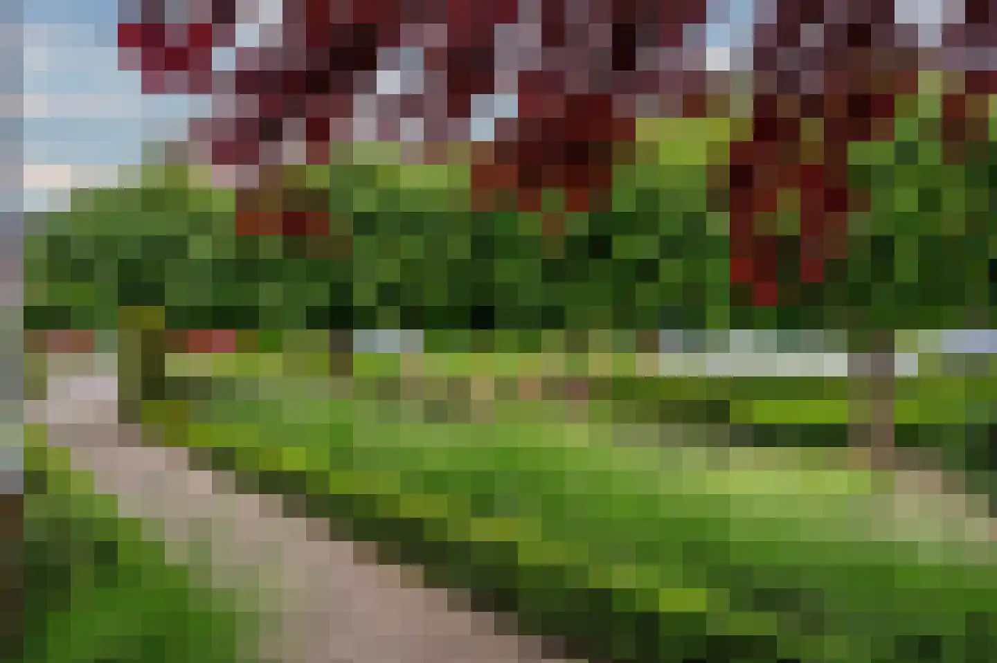 Groenstraat 43 Venlo thumbnail 60