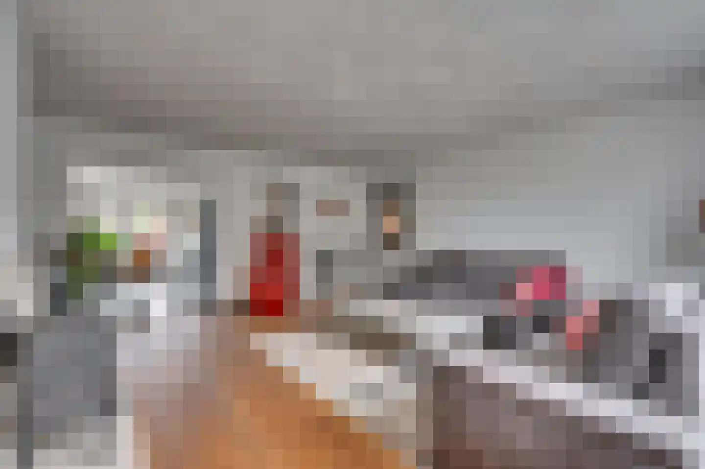 Groenstraat 43 Venlo thumbnail 9