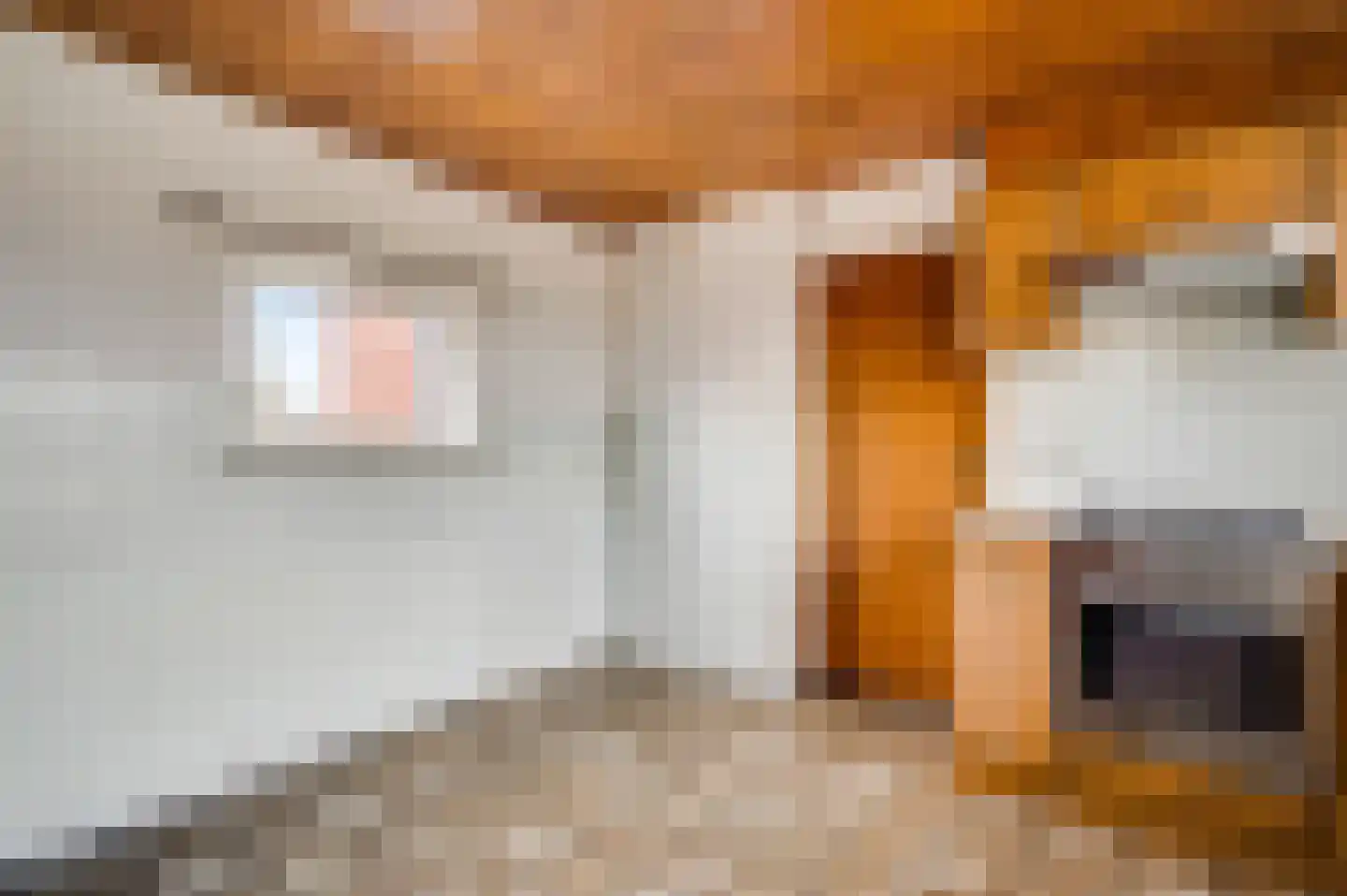 Groenstraat 45 Melick thumbnail 16
