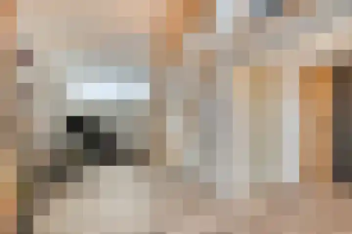 Groenstraat 47 Prinsenbeek thumbnail 4