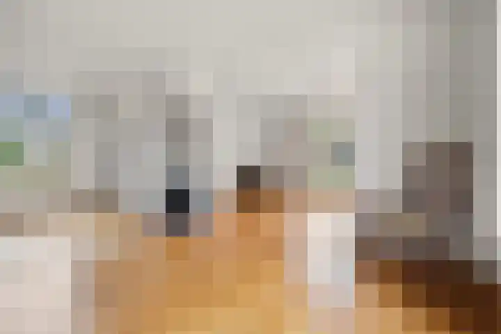 Groenstraat 5 Herpt thumbnail 10