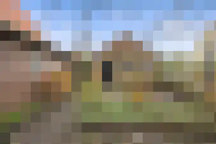 Groenstraat 5 Herpt thumbnail 43