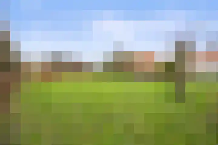 Groenstraat 5 Herpt thumbnail 47