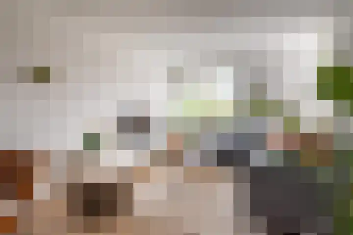 Groenstraat 54 K Prinsenbeek thumbnail 11