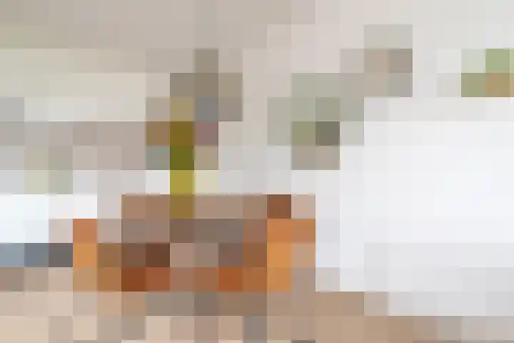 Groenstraat 54 K Prinsenbeek thumbnail 13