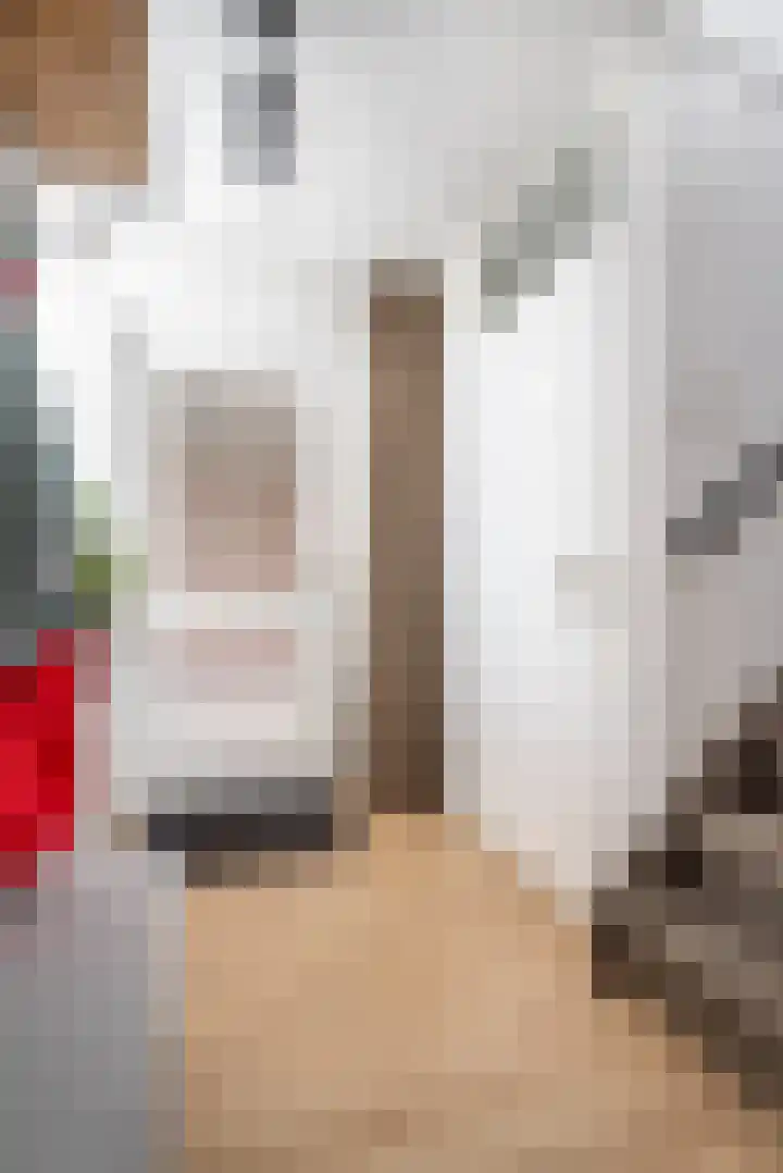 Groenstraat 54 K Prinsenbeek thumbnail 8